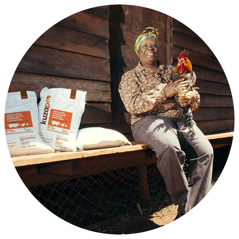 Chicken-farmer-in-circle_001.png